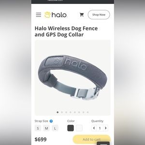 GPS dog collar. New in box, tried once. I am too busy to learn/use it. My lost